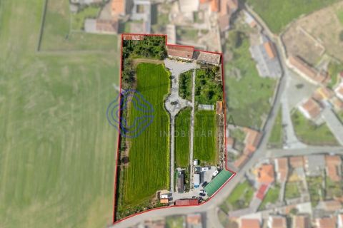 Granja a Vila do Conde, Porto, Vila do Conde - € 700.000 | Ref: 1125391 - foto 15
