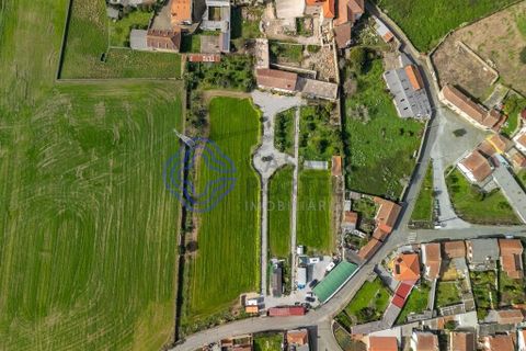 Granja a Vila do Conde, Porto, Vila do Conde - € 700.000 | Ref: 1125391 - foto 16