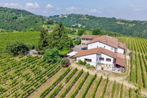 Villa a Canelli, Asti, Canelli - € 1.990.000 | Ref: CNL006 - foto 2