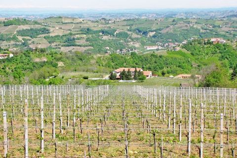 Villa a Canelli, Asti, Canelli - € 1.990.000 | Ref: CNL006 - foto 5