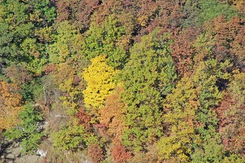 Villa a Canelli, Asti, Canelli - € 1.990.000 | Ref: CNL006 - foto 37
