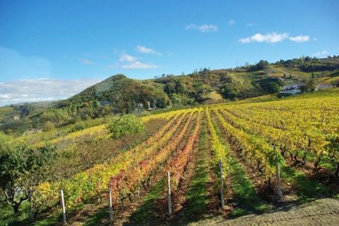 Villa a Canelli, Asti, Canelli - € 1.990.000 | Ref: CNL006 - foto 38