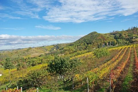 Villa a Canelli, Asti, Canelli - € 1.990.000 | Ref: CNL006 - foto 39