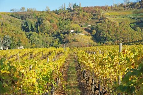Villa a Canelli, Asti, Canelli - € 1.990.000 | Ref: CNL006 - foto 40