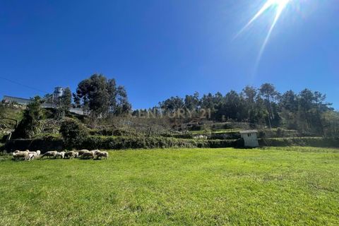Helårsgrund i Souselo, Viseu, Souselo - € 295.000 | Ref: C0415-00647 - foto 12