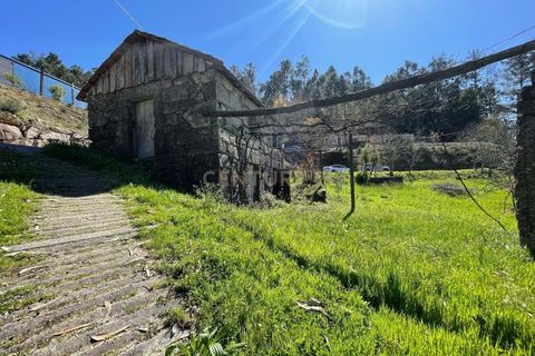 Helårsgrund i Souselo, Viseu, Souselo - € 295.000 | Ref: C0415-00647 - foto 14