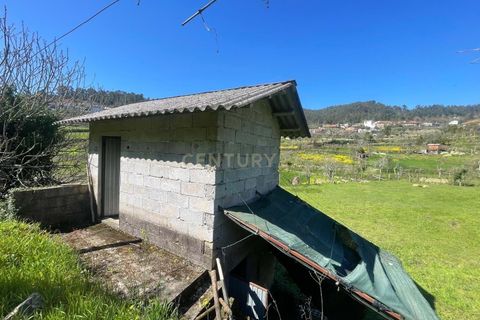 Helårsgrund i Souselo, Viseu, Souselo - € 295.000 | Ref: C0415-00647 - foto 17