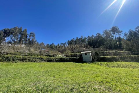 Helårsgrund i Souselo, Viseu, Souselo - € 295.000 | Ref: C0415-00647 - foto 18