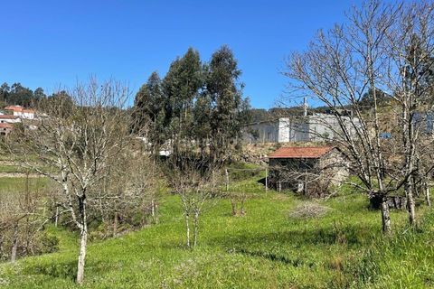 Helårsgrund i Souselo, Viseu, Souselo - € 295.000 | Ref: C0415-00647 - foto 20
