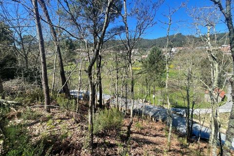 Helårsgrund i Souselo, Viseu, Souselo - € 295.000 | Ref: C0415-00647 - foto 22