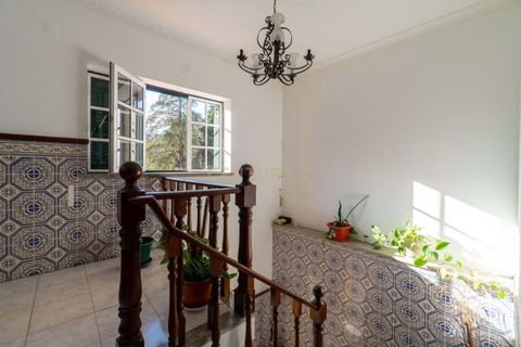 Villa i Janeiro de Baixo, Coimbra, Janeiro de Baixo - € 379.000 | Ref: C0289-01966 - foto 20