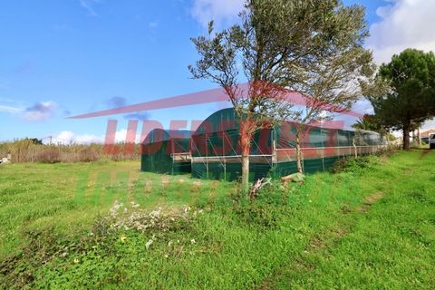 Helårsgrund i Torres Vedras, Lisbon, Torres Vedras - € 80.000 | Ref: 1224 - foto 1