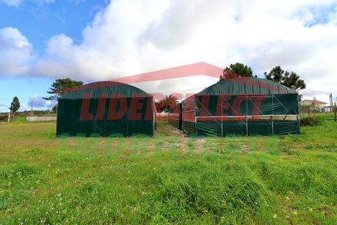 Helårsgrund i Torres Vedras, Lisbon, Torres Vedras - € 80.000 | Ref: 1224 - foto 2