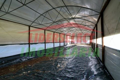 Helårsgrund i Torres Vedras, Lisbon, Torres Vedras - € 80.000 | Ref: 1224 - foto 5