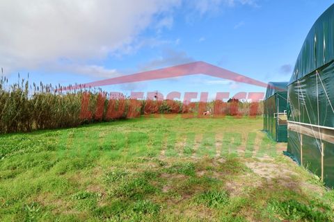 Helårsgrund i Torres Vedras, Lisbon, Torres Vedras - € 80.000 | Ref: 1224 - foto 11