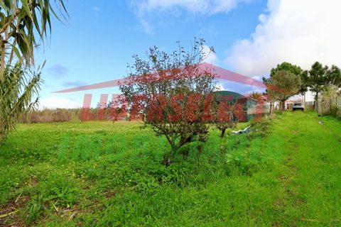 Helårsgrund i Torres Vedras, Lisbon, Torres Vedras - € 80.000 | Ref: 1224 - foto 12