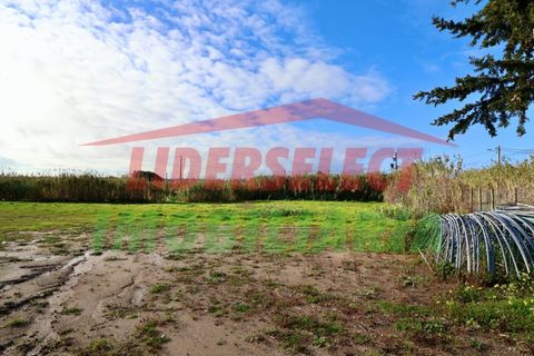 Helårsgrund i Torres Vedras, Lisbon, Torres Vedras - € 80.000 | Ref: 1224 - foto 14