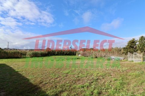 Helårsgrund i Torres Vedras, Lisbon, Torres Vedras - € 80.000 | Ref: 1224 - foto 15