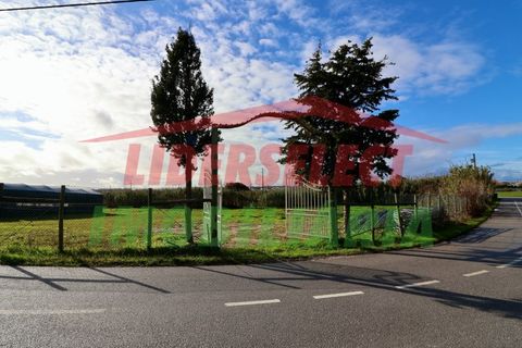 Helårsgrund i Torres Vedras, Lisbon, Torres Vedras - € 80.000 | Ref: 1224 - foto 17