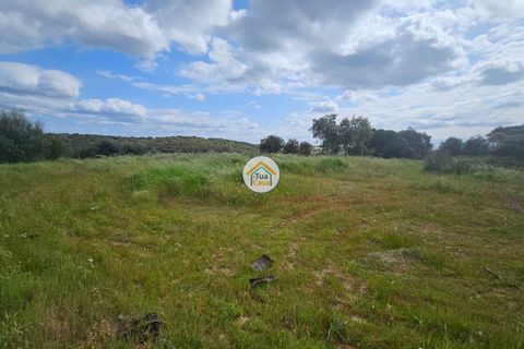 Terra a Redondo, Evora, Redondo - € 63.500 | Ref: 3TC4152 - foto 5