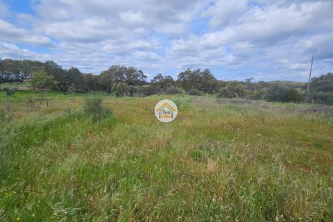 Terra a Redondo, Evora, Redondo - € 63.500 | Ref: 3TC4152 - foto 7