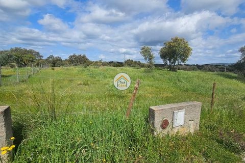 Terra a Redondo, Evora, Redondo - € 63.500 | Ref: 3TC4152 - foto 8