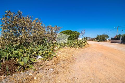 Helårsgrund i Olhao, Faro, Olhao - € 8.900.000 | Ref: 3839 - foto 5