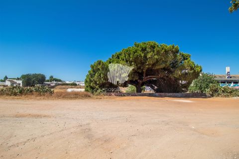 Helårsgrund i Olhao, Faro, Olhao - € 8.900.000 | Ref: 3839 - foto 8