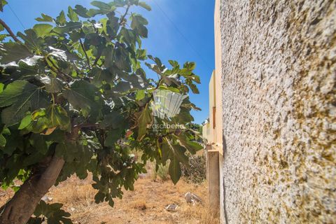 Helårsgrund i Olhao, Faro, Olhao - € 8.900.000 | Ref: 3839 - foto 10