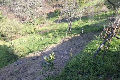 Villa i Arganil, Coimbra, Arganil - € 250.000 | Ref: 707D - foto 27