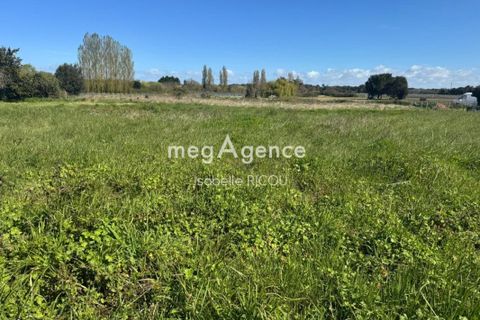 Terra a Dolus-d'Oleron, Charente-Maritime, Dolus-d'Oleron - € 285.000 | Ref: 200409 - foto 3