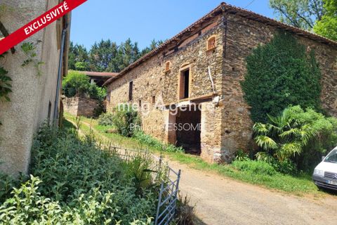 Villa a Teillet, Tarn, Teillet - € 399.000 | Ref: 190406 - foto 3