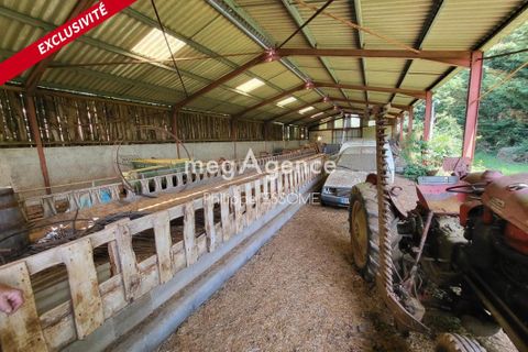 Villa a Teillet, Tarn, Teillet - € 399.000 | Ref: 190406 - foto 12