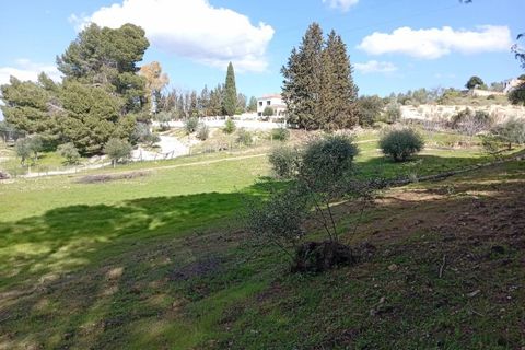 Landejendom i Arriate, Malaga, Arriate - € 520.000 | Ref: z640 - foto 8