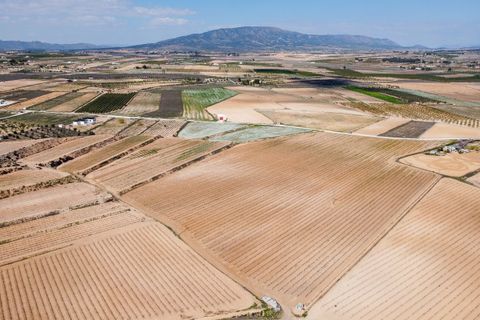 Terra a Pinoso, Alicante, Pinoso - € 324.000 | Ref: CF3318 - foto 4