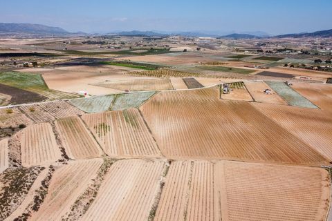 Terra a Pinoso, Alicante, Pinoso - € 324.000 | Ref: CF3318 - foto 5