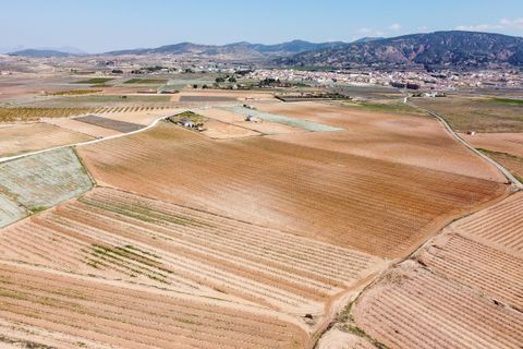 Terra a Pinoso, Alicante, Pinoso - € 324.000 | Ref: CF3318 - foto 6