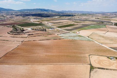 Terra a Pinoso, Alicante, Pinoso - € 324.000 | Ref: CF3318 - foto 7