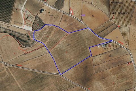 Terra a Pinoso, Alicante, Pinoso - € 324.000 | Ref: CF3318 - foto 8