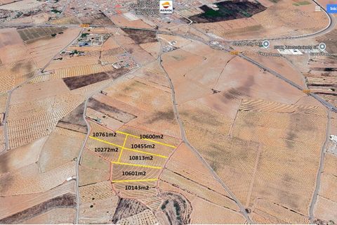 Terra a Pinoso, Alicante, Pinoso - € 324.000 | Ref: CF3318 - foto 9