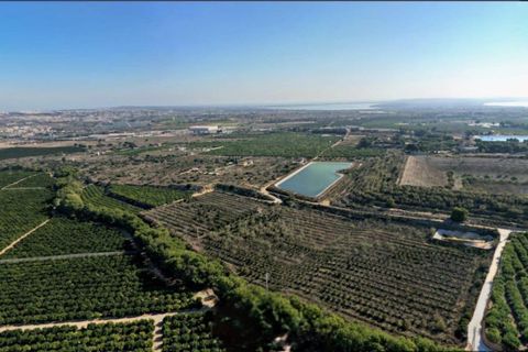 Helårsgrund i Algorfa, Alicante, Algorfa - € 1.200.000 | Ref: EXP13807/8930 - foto 3
