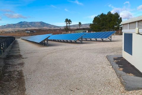 Helårsgrund i Algorfa, Alicante, Algorfa - € 1.200.000 | Ref: EXP13807/8930 - foto 15