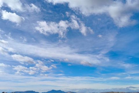 Helårsgrund i Algorfa, Alicante, Algorfa - € 1.200.000 | Ref: EXP13807/8930 - foto 18