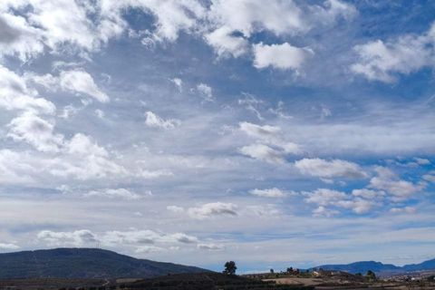Helårsgrund i Algorfa, Alicante, Algorfa - € 1.200.000 | Ref: EXP13807/8930 - foto 19