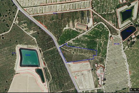 Helårsgrund i Almoradi, Alicante, Almoradi - € 760.000 | Ref: EXP13808/8930 - foto 7