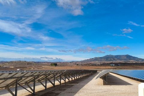 Helårsgrund i Algorfa, Alicante, Algorfa - € 3.500.000 | Ref: EXP13809/8930 - foto 17