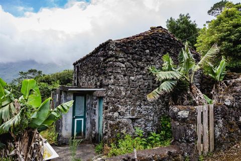 Helårsgrund i Sao Roque do Pico, Pico, Sao Roque do Pico - € 62.000 | Ref: 374260060 - foto 2