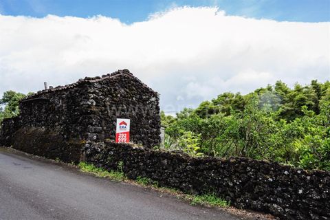 Helårsgrund i Sao Roque do Pico, Pico, Sao Roque do Pico - € 62.000 | Ref: 374260060 - foto 3
