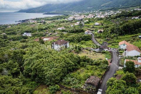 Helårsgrund i Sao Roque do Pico, Pico, Sao Roque do Pico - € 62.000 | Ref: 374260060 - foto 4