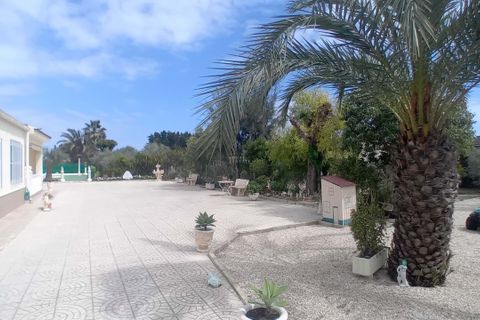 Villa i Elche, Alicante, Elche - € 530.000 | Ref: 1RE1226 - foto 7
